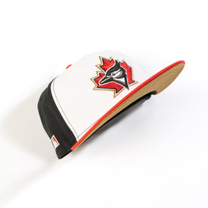 TORONTO BLUE JAYS 'GELATO' 59FIFTY FITTED HAT – Anthem Shop