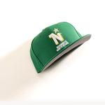 MINNESOTA NORTH STARS 59FIFTY FITTED HAT