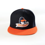 DETROIT TIGERS RALLY GOOSE 59FIFTY FITTED HAT