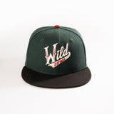 IOWA WILD 59FIFTY FITTED HAT