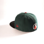 IOWA WILD 59FIFTY FITTED HAT